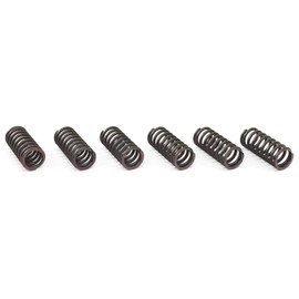 EBC Clutch Spring Kit CSK029