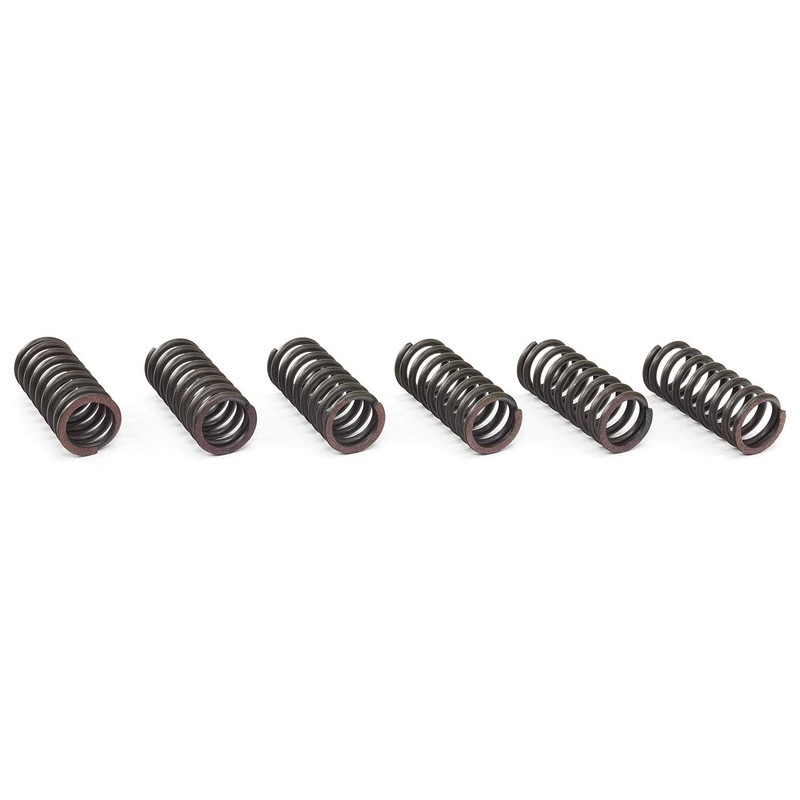 EBC Clutch Spring Kit CSK029