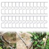 JAMSSOW Pack of 26 8 cm Branch Separators for Fruit
