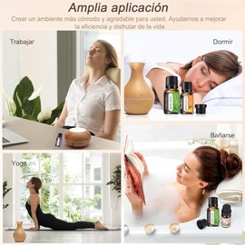 Woccatisy Aceites Esenciales de Aromaterapia 6PCS100 Naturales Kit de Aceite Esencial para Difusor-10ml Esencias para Difusor Apto para uso hotelero  