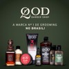 QOD Barber Shop - Shampoo premium para cabello y barba