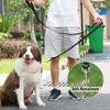 AMAGOOD 6 FT Puppy/Dog Leash, Strong and Durable Traditional Style