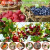 Bird Netting for Chicken Coop - 50x50ft Chicken Netting for