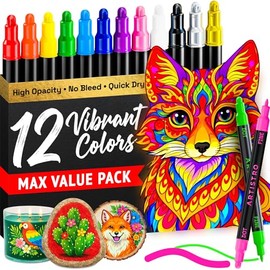 ARTISTRO 12 marcadores de pintura acrílica de doble punta de precisión – Juego de bolígrafos de pintura con puntos y puntas finas para tela, roca, vid