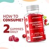 Vitamatic Vitamatic 2 Pack Vegan Cranberry Gummies with D-Mannose, Probiotic