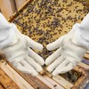 Flexzion Beekeeping Gloves Canvas Protective Bee Keeping Supplies Equipment with