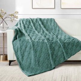 Exclusivo Mezcla Fleece Throw Blanket for Couch, Super Soft 3D Checkered Jacquard Bed Blanket, Cozy Fluffy Lightweight Blanket for All Seasons, 50x60 Inches, Celadon Blanket
