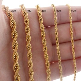 OSTAN Men's / Women's Necklace Stainless Steel Twisted Chain Rope Chain Cord Chain Width 2-5 mm Length 45-80 cm Gold, Stainless Steel