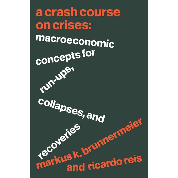 A Crash Course on Crises: Macroeconomic Concepts for Run-Ups, Collapses,