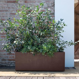 Deroma Gravity Planter | 23” x 10” x 10" Rectangle | Light & Durable Plastic | Includes Water Reserve & Drainage Plug | Pot for Plants, Flowers, Garden | Sand