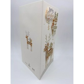 PinesFamily B14-COMBO Christmas Greeting Cards