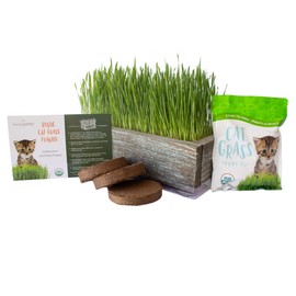 Organic Cat Grass Seeds Kit - Decorative Reclaimed Barnwood Style Organic Wheatgrass Seeds Planter - Aged Brown - Hairball Remedy for Cats, Healthy Pet Grass Supplement & Wheatgrass Growing Kit