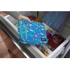 PackIt Freezable Classic Lunch Box, Sea Shark, Built with ECOFREEZE