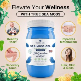 Wildcrafted Irish Sea Moss Gel with Dried Seaweed & Blue Spirulina Mint – Organic Superfood Sea Moss – 16 oz – Boosts Immunity, Digestive Health & Skin Wellness – Vegan, Natural, Nutrient-Rich