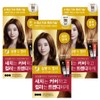 Elastine Salon de Color & Gray Hair Dyeing Cream, light brown, 3 pieces / 엘라스틴 살롱 드 컬러 앤 새치 염색 크림, 밝은갈색, 3개