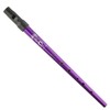 Clarke Pennywhistle Sweetone Violet - single instrument - tuning D