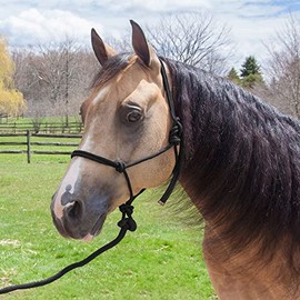 Dura-Tech Rope Halter for Horses and Lead | Color Black Horse Equipment | Easily Adjustable Ideal for Mobility | Fits Wide Range of Horse Sizes