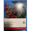 Ashland 5ft LED Holly Red Berry Christmas Crafting Lights Lot