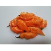 Habanada Pepper 10+ Seeds