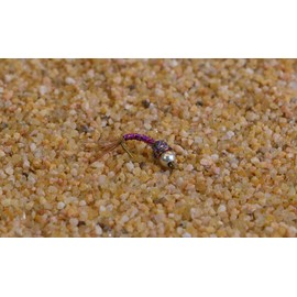 Tungsten Bead Purple Rainbow Warrior Midge Nymph Fly | 12 Flies | Mustad Signature Hooks (Hook #16)