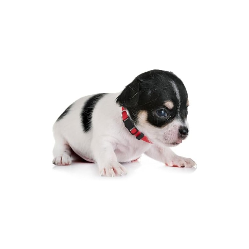 LAFAYI - Collar de perro para cachorro, 18 unidades, ajustable,
