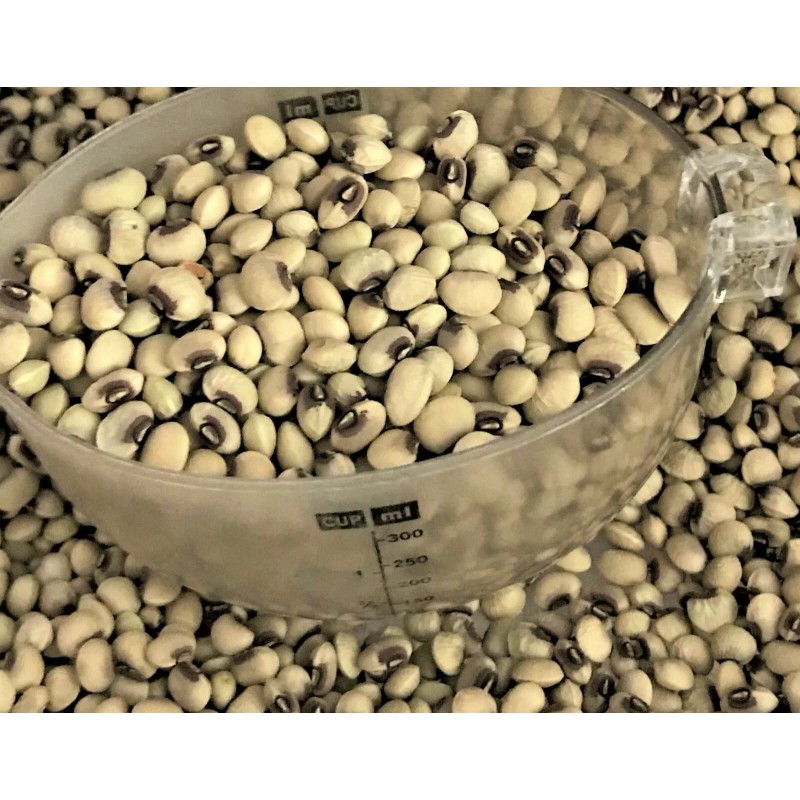 Wax & Top Notch TOP PICK Pinkeye Purple Hull Peas
