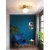 mooijane Modern Starburst Ceiling Light Fixture with Brass Finish –