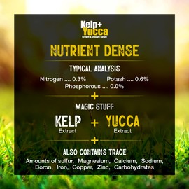 GS Plant Foods Kelp + Yucca Plant Fertilizer & Soil Conditioner – Heat & Drought Protection Formula for Vegetables, Lawns, Gardens & Houseplants (11 oz Dry Concentrate)
