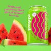 Poppi Watermelon Flavor, 12 oz, Pack of 12, Sparkling Prebiotic