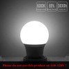 Honle E26 LED Light Bulbs 3W 12V Low Voltage Daylight