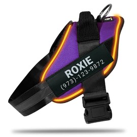 DOGGYKINGDOM Light Up Dog Harness, Custom No Pull LED Dog Harness Glow-in-The-Dark for Night Walking, USB Rechargeable, Reflective Lighted Safety Vest for Medium Large Dogs, Adjustable, Purple, M