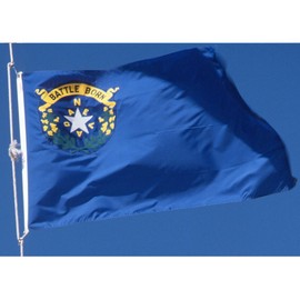 Allied Flag - 4' x 6' Outdoor Nylon Nevada State Flag - Made in USA - Vivid Color and Fade Resistant - Reinforced Hem and Brass Grommets