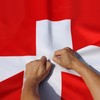 Anley Rip-Proof Double Sided 3-Ply Switzerland Flag 3x5 Foot -
