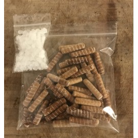 Summer Oyster Mushroom Spawn 30 Dowels Free Wax