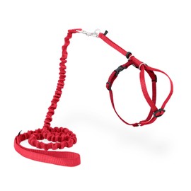 PetSafe Come with Me Kitty Cat Harness & Bungee Leash - Comfortable No-Choke Harness with Lightweight Bungee Leash for Outdoor Fun - Escape Free Pulling Prevention - Small - Red