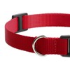 Peture Replacement Collar for Shock Collar, Stylish & Comfortable Christmas