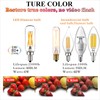 LiteHistory LED Bulb Dimmable 6W Equal Warm White 2700K T6