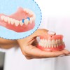 1000pcs/bag Dental Orthodontic Separator Bulk Pack, Elastic Orthodontic Separate Ties