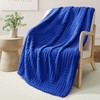 Whale Flotilla Fluffy Fleece Throw Blanket for Couch, Bed, Sofa,