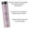 Shampoo Lakme Teknia Frizz Control Para Cabellos Encrespados 300ml