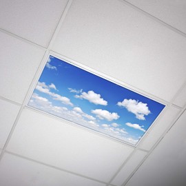 Fluorescent Light Cover for Classroom Ceiling Lights Clouds - Premium Backlit Film Insert 2x4 (22.38"x46.5") Florescent Fixture (Pack of 1) School, Office, Sensory, Improve Focus, Eliminate Headaches