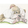 CafePress Sleepy English Bulldog Pillow Case Standard Size Pillowcase, Lumbar