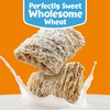 Kellogg’s Frosted Mini-Wheats Breakfast Cereal, High Fiber, 48g Whole Grain,