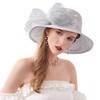 Naimo Women's Organza Church Kentucky Derby Fascinator Hat Elegant Bow