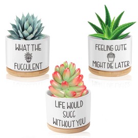 Tsyulog Funny Plant Pots, 3.15 inch Ceramic Flower Succulent Pots with Drainage Holes and Saucers, Cute Cactus Planters for Indoor Plants, Birthday Gifts for Women, Pack of 3 - Plants Not Included