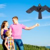 Birds Scarer Repeller Bird Repelling Eagle Kite for Gardens Orchards