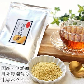 生姜パウダー 20g×2袋 国産 粉末 ジンジャー メール便 無添加