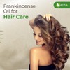 Salvia Salvia Frankincense (Boswellia) Oil - 8.45 Fl Oz (250ml)