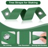 Tree Straps for Attachment, Tree Support Straps for Stabilizing Newly