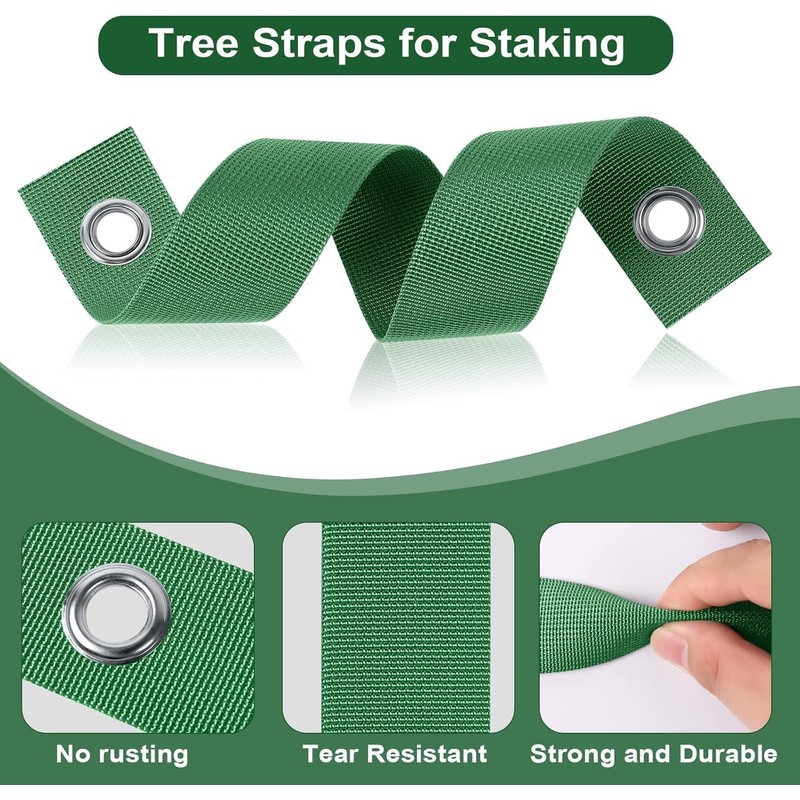Tree Straps for Attachment, Tree Support Straps for Stabilizing Newly